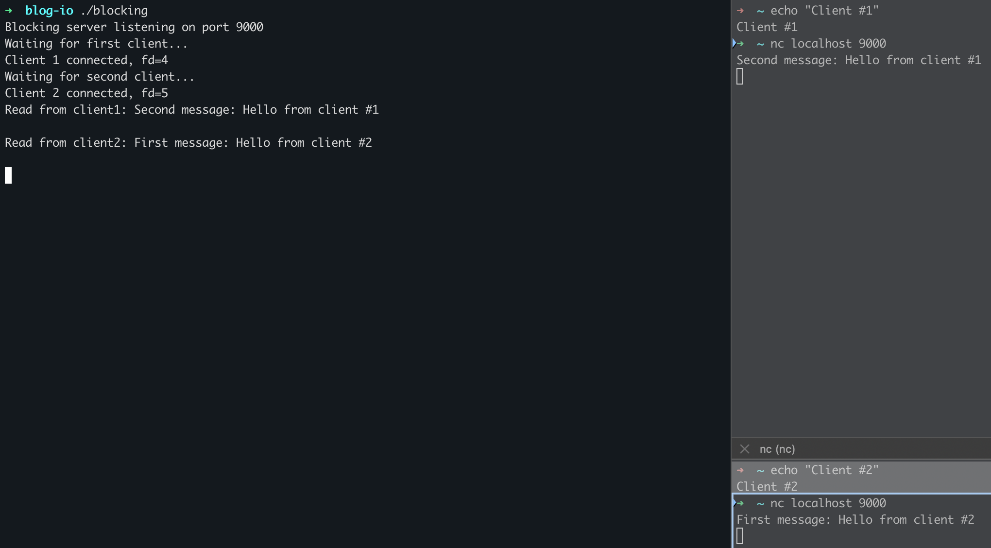 Showcase of blocking I/O