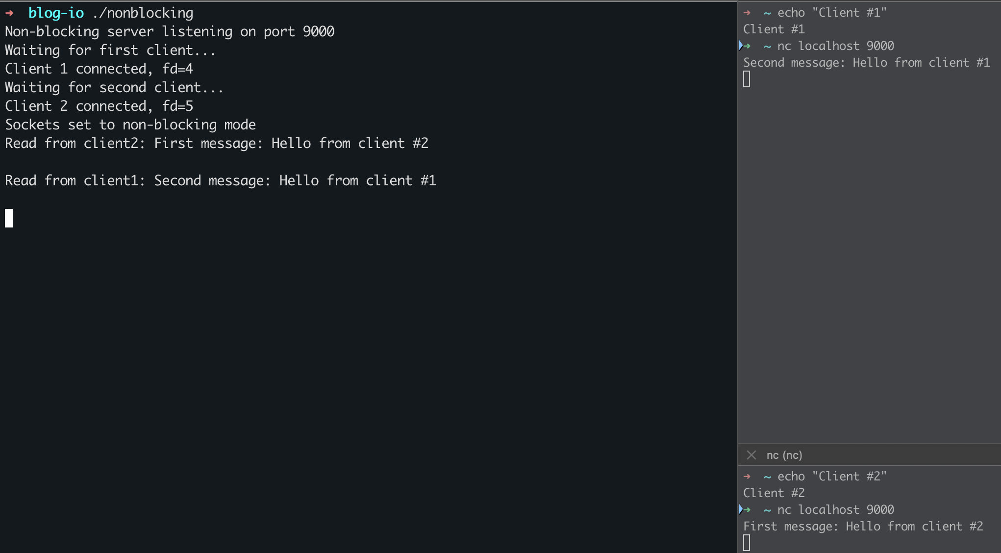 Showcase of non-blocking I/O
